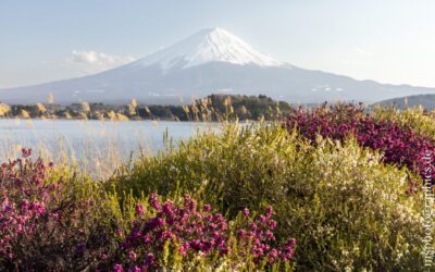 Tokio, Mount Fuji und Kamakura
