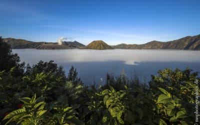 Bali & East Java in 12 Tagen